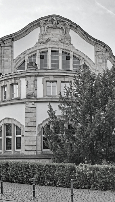 BDG consulting and university partnership